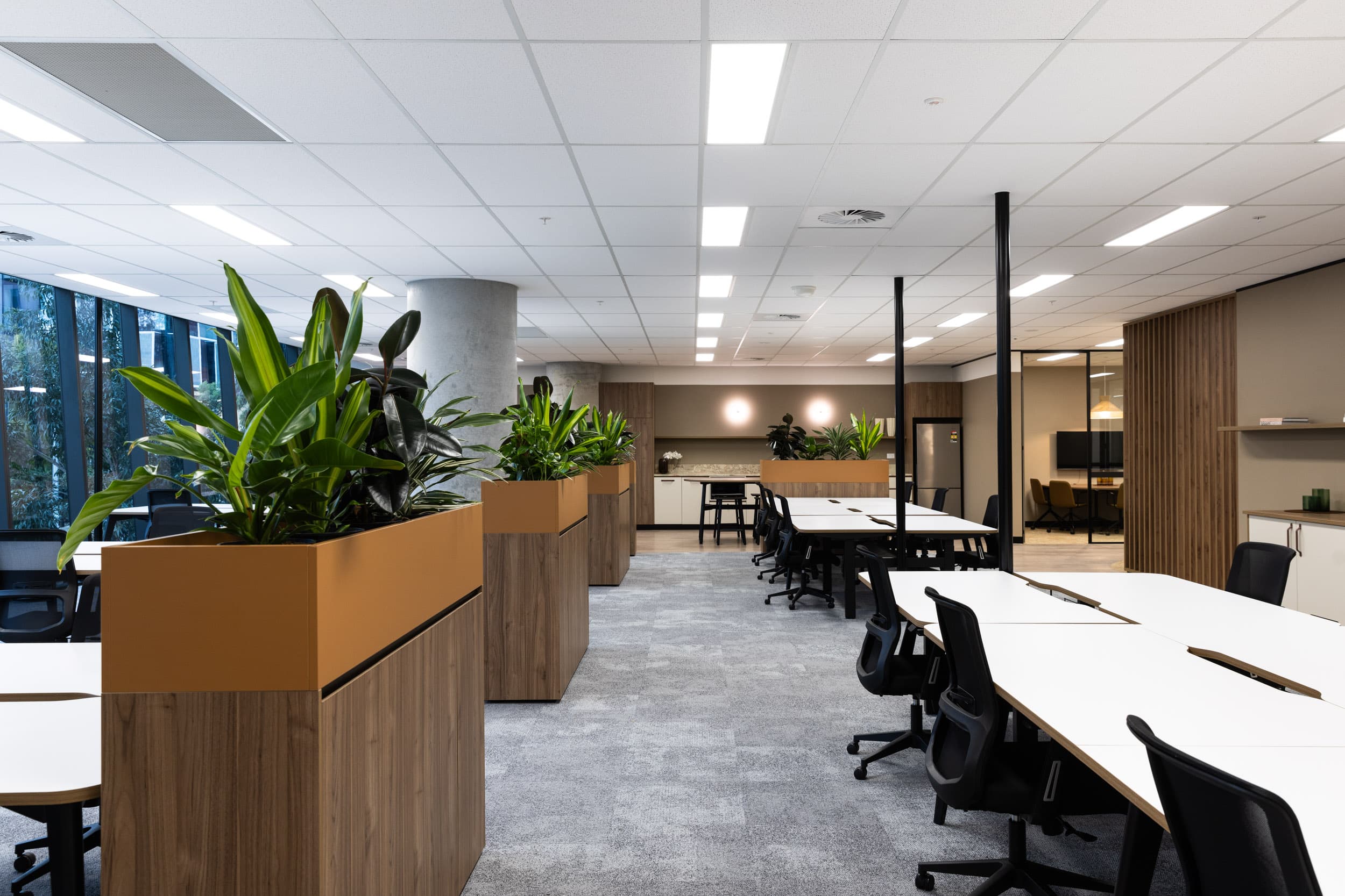 High Quality fitouts in Unrivalled Location - Image 8