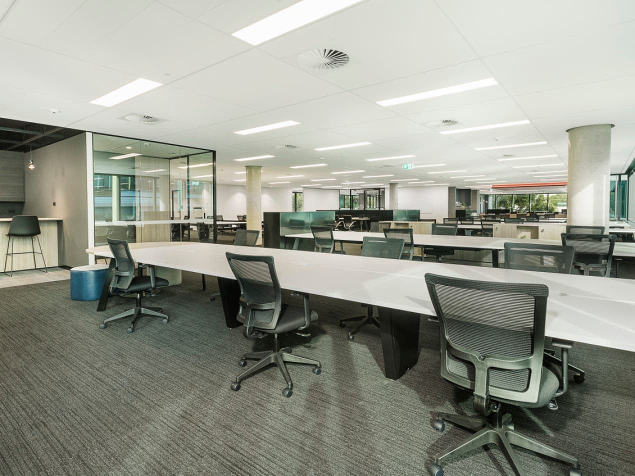 Ready to Occupy: 1,559m² A-Grade Fitout - Image 7